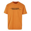 Iron Phoenix - Oversized Heavyweight T shirt - Community print